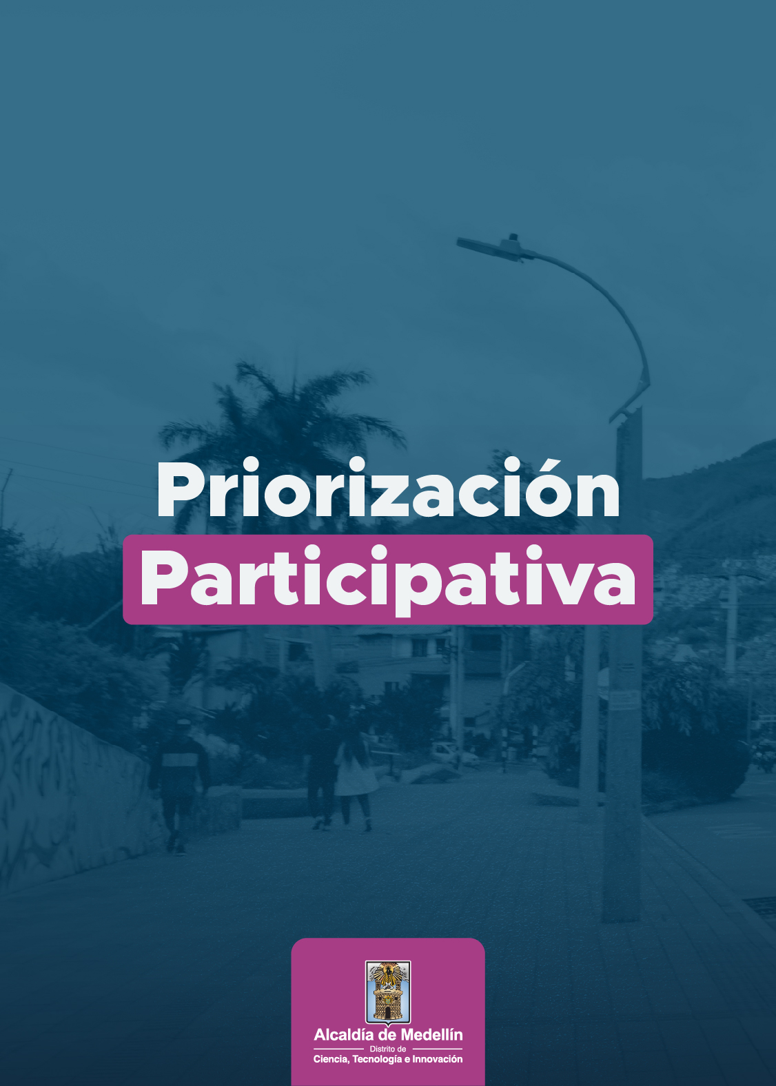 Previsualizacion del PDF de Priorización participativa